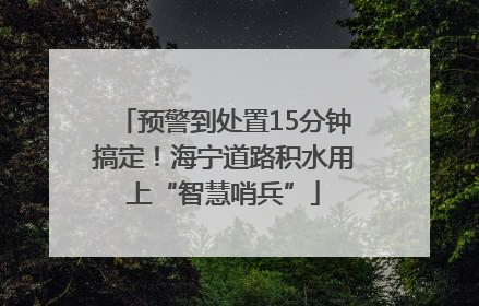 预警到处置15分钟搞定！海宁道路积水用上“智慧哨兵”